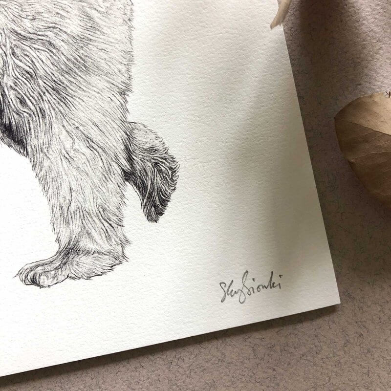 Spirit-Bear-Signature-Sky-Siouki