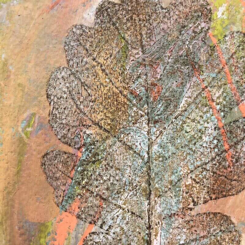 Little-Oak-Leaf-Detail-Sky-Siouki